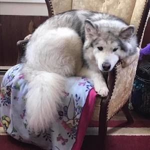 Meet your Posher, Ellen